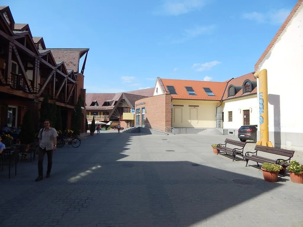 Kalvin Vendegszobak Debrecen Hungary
